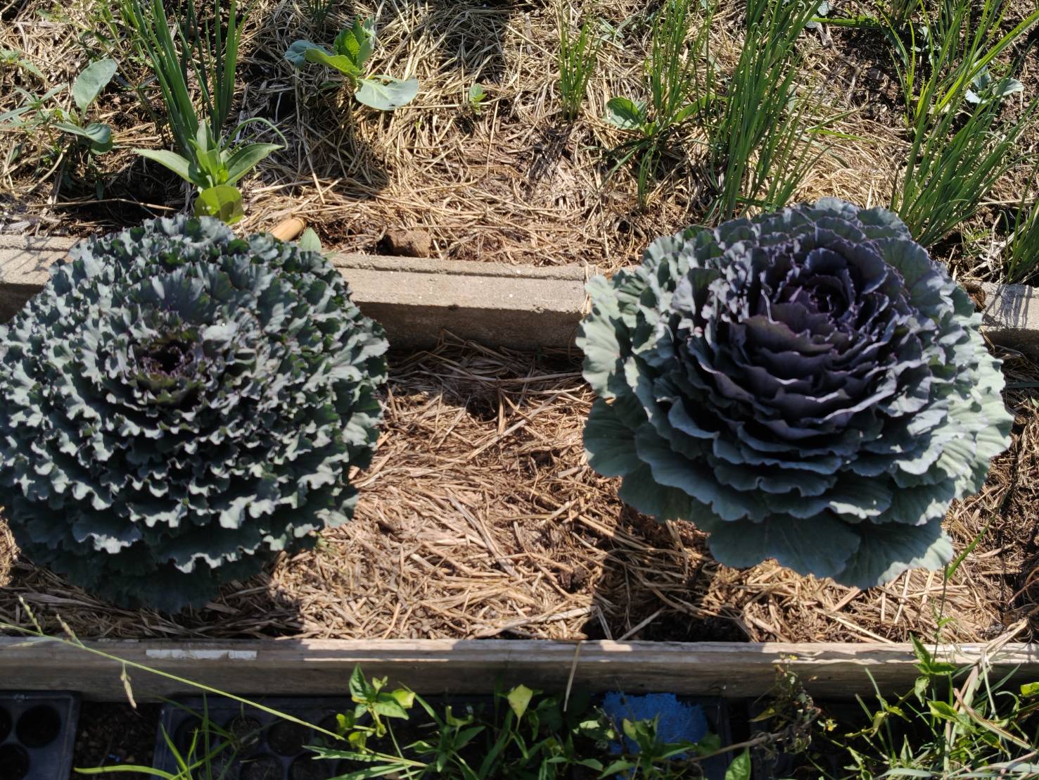 title - ผู้ตรวจราชการ ส.ป.ก. ประชุมตรวจติดตามความก้าวหน้าผลการดำเนินงานตามแผนการตรวจราชการ ประจำปีงบประมาณ พ.ศ. 2569 รอบที่ 1 เขตตรวจราชการที่ 8 จังหวัดฉะเชิงเทรา 